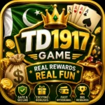 TD1917 Game